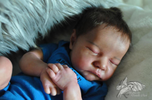 Levi by Bonnie Brown June 2019